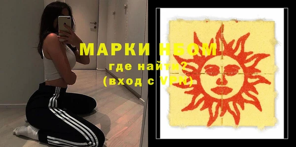 дживик Богородицк