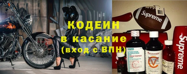 дживик Богородицк